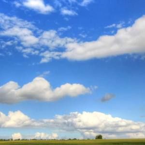 Meet your Posher, Sawyer